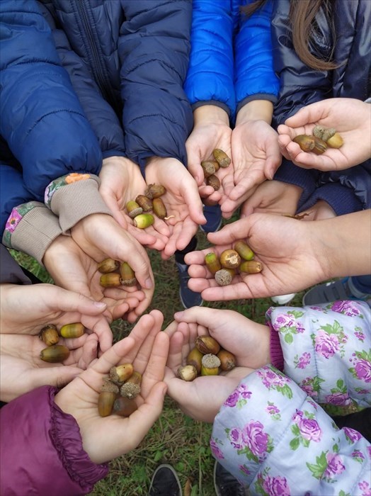 Giornata dell'albero a "Pantano Basso"