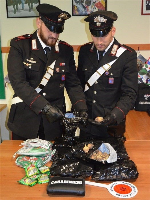 I Carabinieri sequestrano una borsa con otto capsule piene di oppio