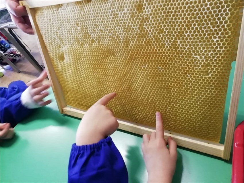 Toccare con mano la "casette delle api"