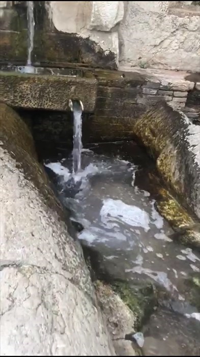 Carlo Delle Donne: «Schiuma dalla "Fontana Vecchia" di San Buono»