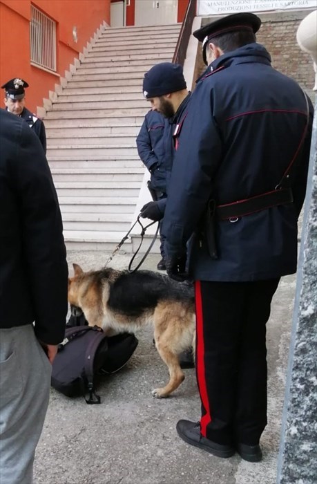 Montenero, i Carabinieri setacciano centro e scuole coi cani antidroga