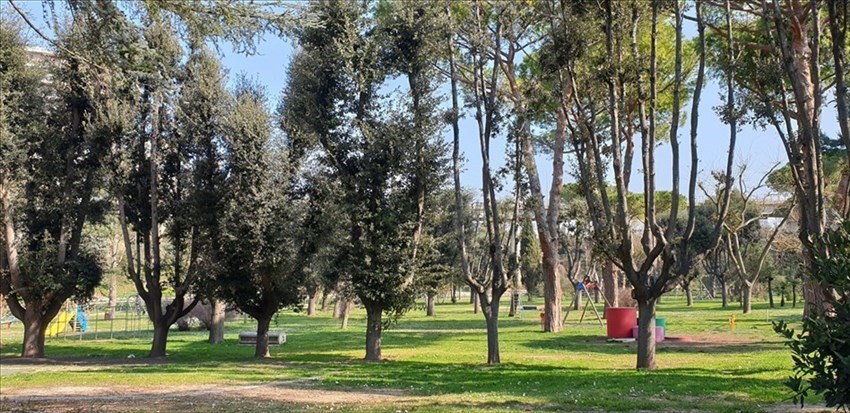 Parco comunale "Girolamo La Penna" work in progress, sulla strada giusta