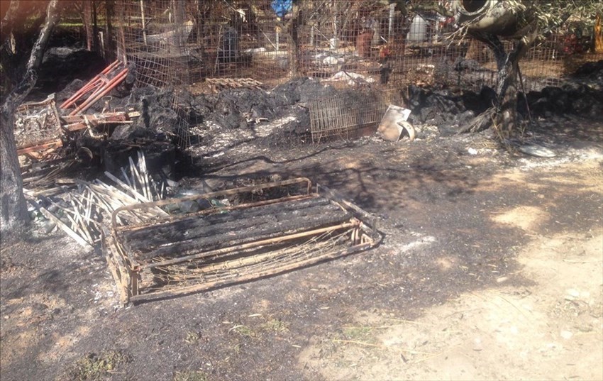 Roulotte e box per cani in fiamme: muoiono 4 doghi argentini