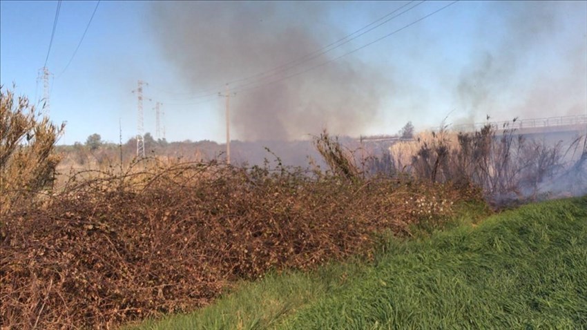 Sterpaglie in fiamme nella zona industriale a San Salvo