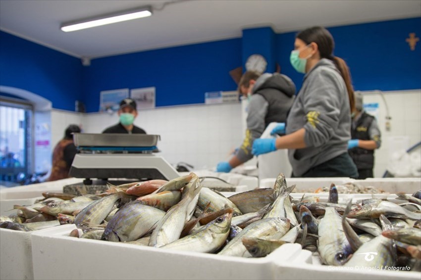 "Un brodetto per tutti": distribuito pesce gratis ai cittadini vastesi bisognosi