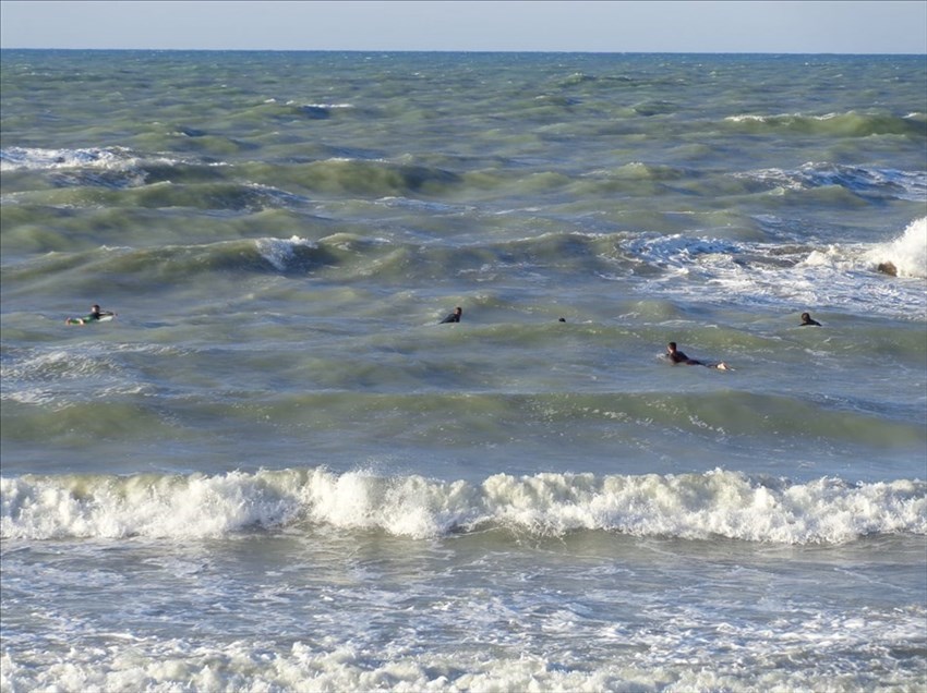 Appassionati della tavola da surf col vento nelle mani sul litorale Nord di Termoli