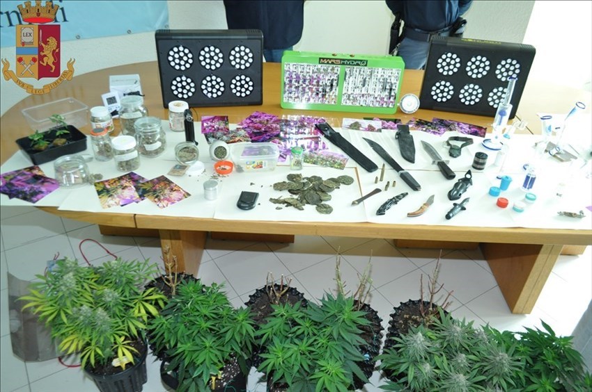 Armi da taglio, 300 grammi di marijuana e 14 piante: l'operazione Drug Indoor