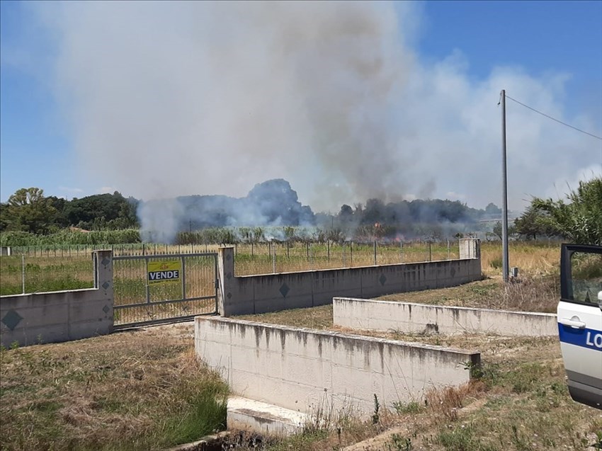 Incendio a Campomarino Lido, fiamme assediano la ferrovia: fermati i treni