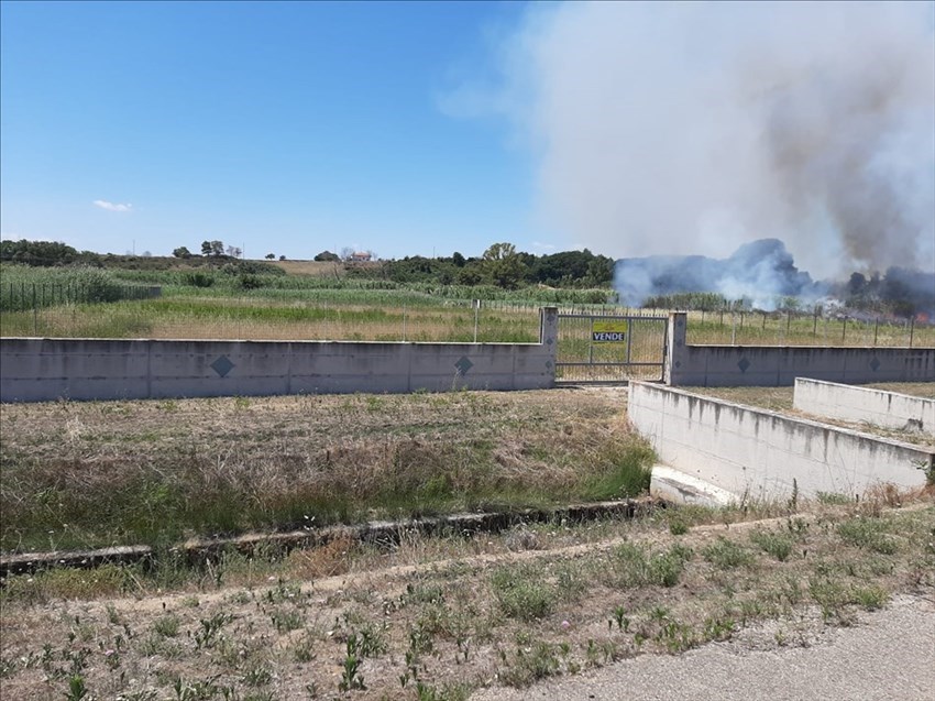 Incendio a Campomarino Lido, fiamme assediano la ferrovia: fermati i treni