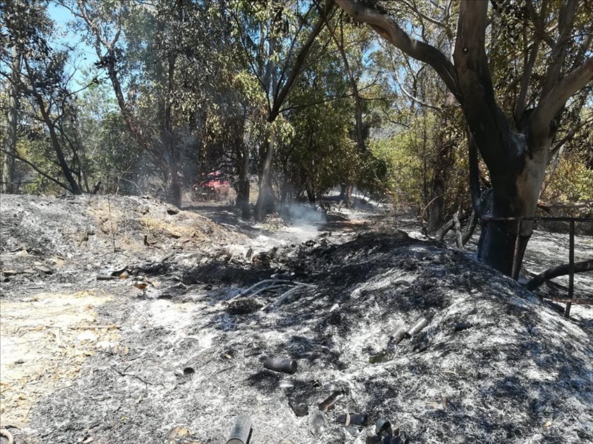 Doppio incendio di sterpaglie e alberi in via Selvotta e a Casalbordino