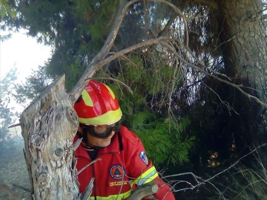 Doppio incendio di sterpaglie e alberi in via Selvotta e a Casalbordino
