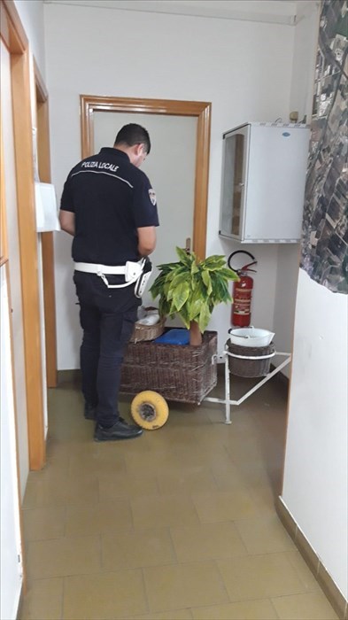 Venditore di cocco stangato dalla Polizia municipale a Campomarino Lido