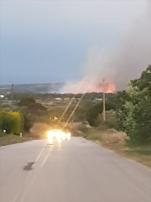 Incendio al Bosco Fantine di Campomarino