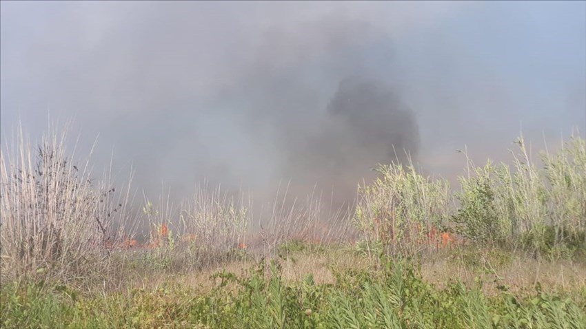 Incendio divampato dietro la Stazione Vasto-San Salvo, fumo e fiamme fino alla statale