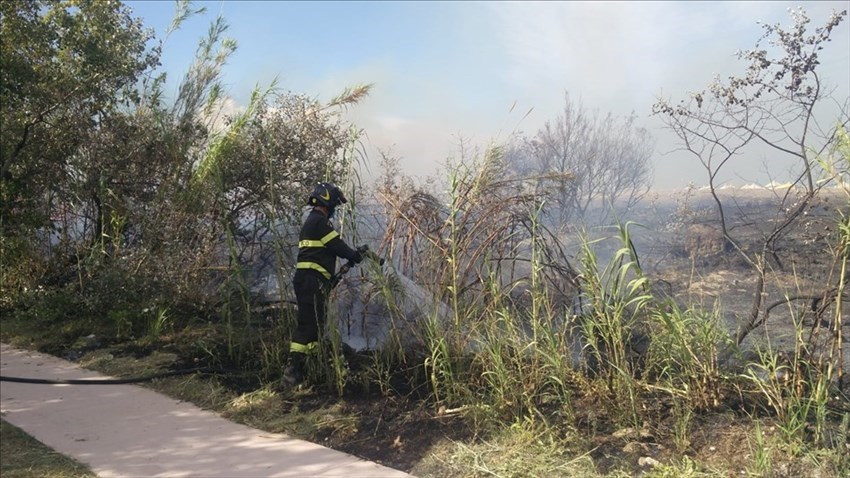 Incendio divampato dietro la Stazione Vasto-San Salvo, fumo e fiamme fino alla statale