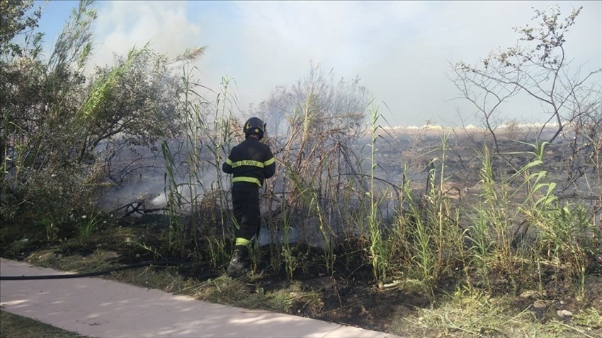 Incendio lungo la ferrovia, traffico interrotto lungo la tratta Foggia-Pescara