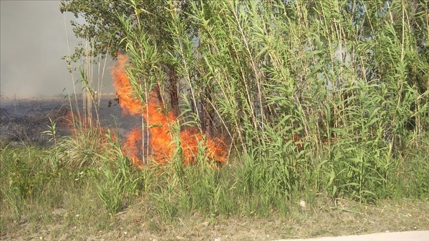Incendio lungo la ferrovia, traffico interrotto lungo la tratta Foggia-Pescara