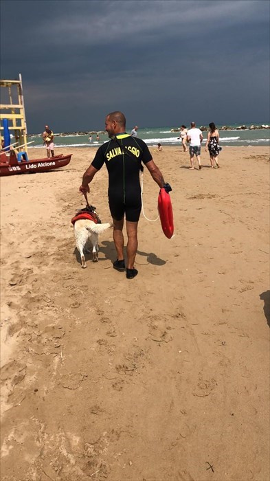 La Scuola italiana cani di salvataggio nelle principali spiagge libere