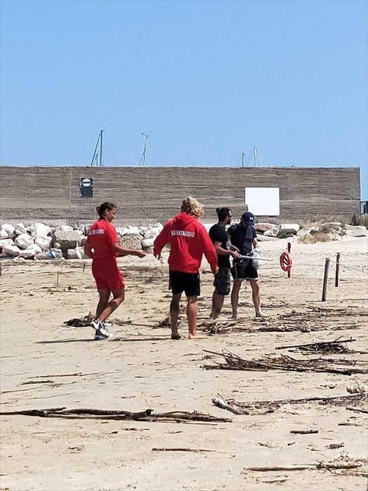 Volontari ripuliscono la spiaggia di Punta Penna da plastica e rifiuti