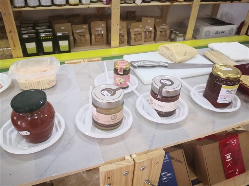 “Italianeria by Molisefood”: i prodotti molisani sbarcano nel punto vendita spagnolo