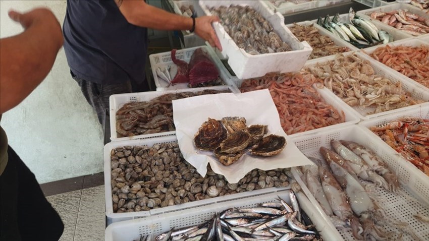 Arriva sui banchi del mercato il pesce fresco dell'Adriatico