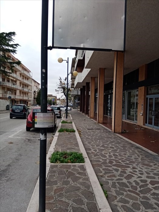 "Bene i 53 alberi piantati per ogni nato,  ma quando saranno riposizionati in Corso Mazzini"