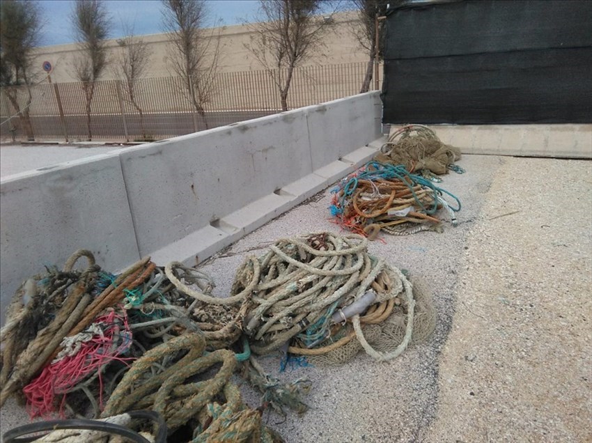 Cime e vecchie reti da pesca rimosse dal porto di Termoli