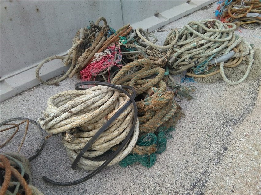 Cime e vecchie reti da pesca rimosse dal porto di Termoli