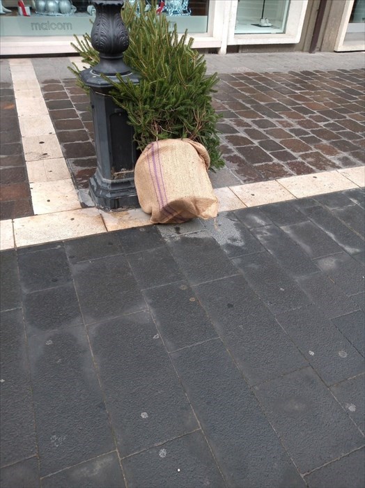Che idioti, alberi di Natale danneggiati e rovesciati dai vandali già dopo poche ore