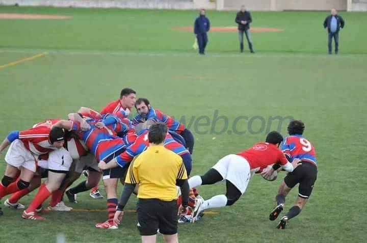 tetras rugby
